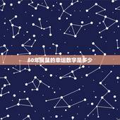 60年属鼠的幸运数字是多少，1960年属鼠的吉祥数字