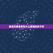 属虎女属兔男生什么属相的孩子好，男属虎女属兔生什么 属相孩子最好