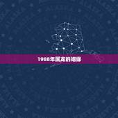 1988年属龙的姻缘，1988属龙女人2022 运势