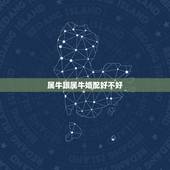 属牛跟属牛婚配好不好，属马和属牛的婚配好吗？