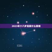 2023年十八岁是属什么属相，2023年是什么属相？