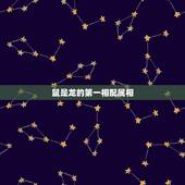 鼠是龙的第一相配属相，生肖属龙跟属鼠相配吗？