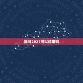 属马2021可以结婚吗，属马和属蛇2021什么时候结婚？