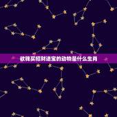 欲钱买招财进宝的动物是什么生肖，招财进宝是什么动物