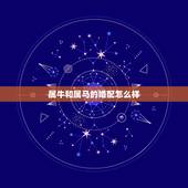 属牛和属马的婚配怎么样，属牛和属马的明星夫妻