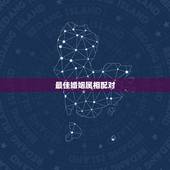 最佳婚姻属相配对，12生肖最佳姻缘配对表