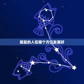 属鼠的人在哪个方位发展好，2022 年属鼠的办公桌吉凶方位