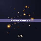 属鼠的起名字用什么字好，鼠年出生的宝宝名字用什么字好