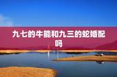 九七的牛能和九三的蛇婚配吗，属蛇和属牛的能配对吗？