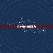 几十万的极品墨龟，极品的墨龟在哪里买？
