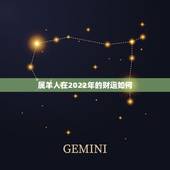 属羊人在2022年的财运如何，属羊人2022 年财运