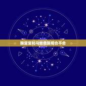 猴宝宝和马爸爸属相合不合，属马的和属猴的孩子属相最好是什么