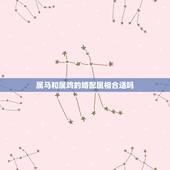 属马和属鸡的婚配属相合适吗，属马的跟属鸡的人相配吗