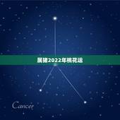 属猪2022年桃花运，1955年生人2022年运势