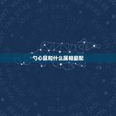 勺心鼠和什么属相最配，老鼠女跟什么属相最配