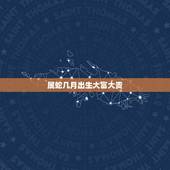 属蛇几月出生大富大贵，89属蛇的几月出生最好