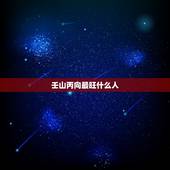 壬山丙向最旺什么人，风水罗盘壬山丙向解释