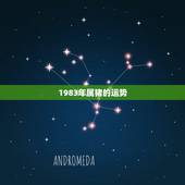 1983年属猪的运势，1983属猪的未来10全年运势