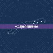 十二星座介绍性格特点，十二星座的性格特点