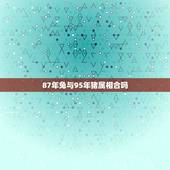87年兔与95年猪属相合吗，我87年兔(男)和95年猪(女)会在一辈子