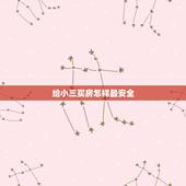 给小三买房怎样最安全，情人给小三买房都需要什么证件？