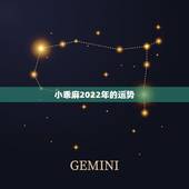 小乖麻2022年的运势，小乖麻根登卓玛2015年12星座运势