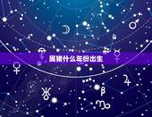 属猪什么年份出生，属猪的出生年月
