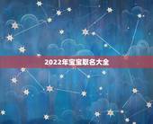 2022年宝宝取名大全，2022年宝宝起名大全