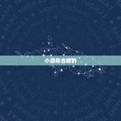小游年合婚的  ，教你民间合婚的