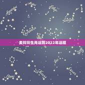 麦玲玲生肖运势2022年运程，2022年运势测算免费