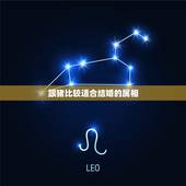 跟猪比较适合结婚的属相，属猪和什么属相可以结婚