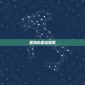 属狗的最佳婚配，属狗的最佳配偶