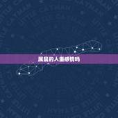 属鼠的人重感情吗，属鼠男人花心吗