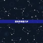 鼠和羊相差几岁，鼠和马为什么相冲