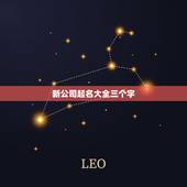 新公司起名大全三个字，商贸公司起名大全三字