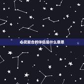 心灵契合的伴侣是什么意思，心灵契合是什么意思