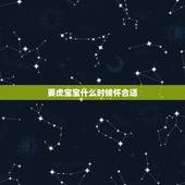 要虎宝宝什么时候怀合适，男宝宝说话晚怎么回事