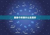 属兔今年做什么生意好，属兔的今年和属什么的合作做生意最好