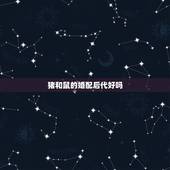 猪和鼠的婚配后代好吗，鼠和猪相配吗