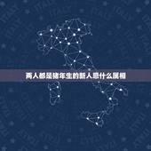 两人都是猪年生的新人忌什么属相，猪年元旦节结婚，新郎属猴，新娘属猪，伴