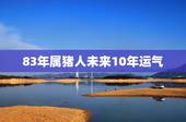 83年属猪人未来10年运气，2022 年猪人运程与运势宋韶光