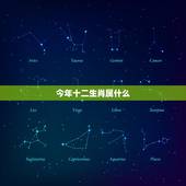 今年十二生肖属什么，十二生肖属相查询表