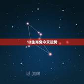 12生肖兔今天运势，属兔的人今年运程如何
