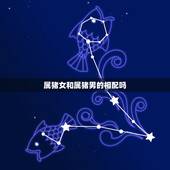 属猪女和属猪男的相配吗，女猪男猪属相相配吗