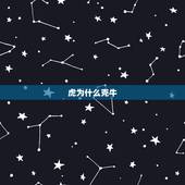 虎为什么克牛，属虎跟牛是不是相冲的？跟什么最合？