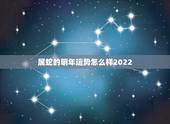 属蛇的明年运势怎么样2022，2022年属蛇女人的运势和财运