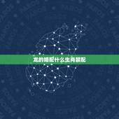 龙的婚配什么生肖禁配，龙配什么生肖更好