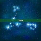 2022 属蛇的运势和财运，2022 属蛇的运势和财运详解