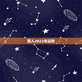 猴人2022年运势，2004年出生属猴，2022年运程