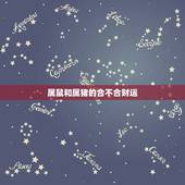 属鼠和属猪的合不合财运，2022 年属鼠人的全年运势